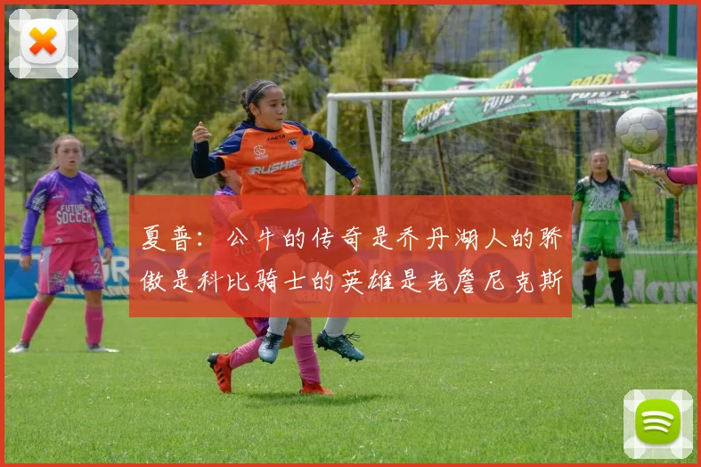 夏普：公牛的传奇是乔丹湖人的骄傲是科比骑士的英雄是老詹尼克斯的希望是布伦森
